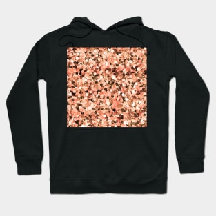 Rose gold glitter sequins Hoodie